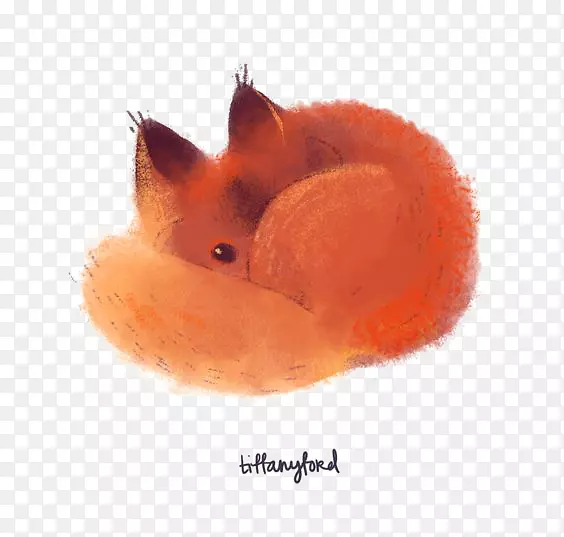 红狐猫画-狐狸