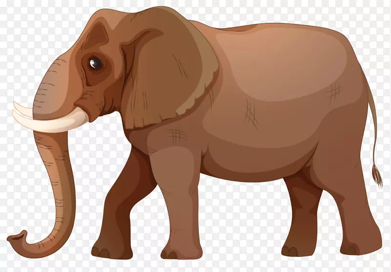 非洲象印度象小象