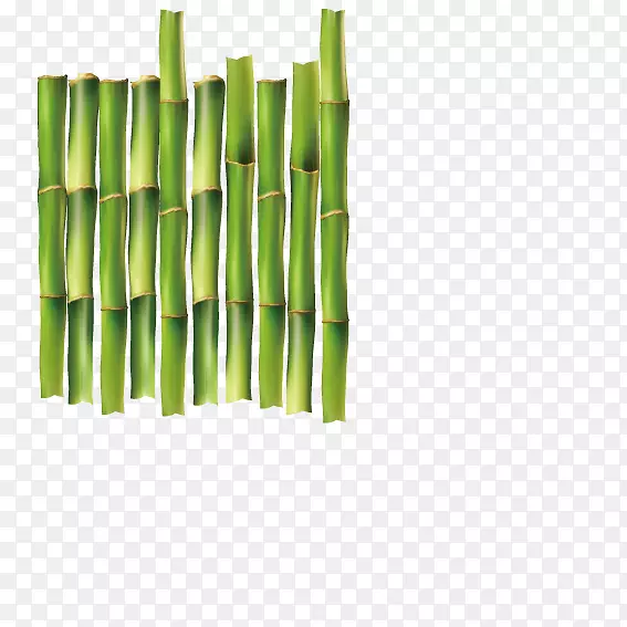 木筏渡船-绿竹