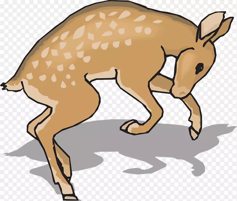 白尾鹿夹跑艺术鹿