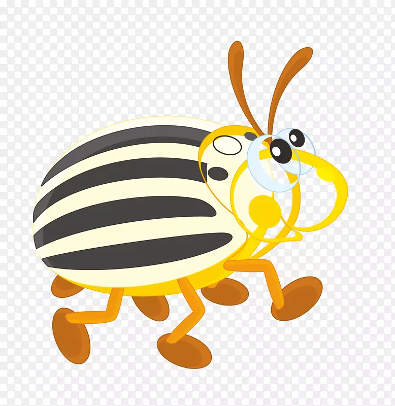 科罗拉多马铃薯甲虫剪贴画-卡通昆虫