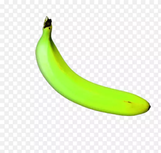 香蕉黄-未熟香蕉