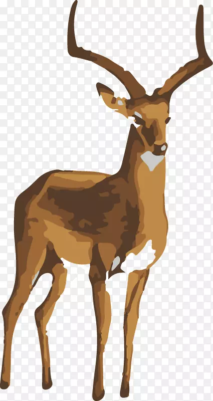 麋鹿艺术绘画-麋鹿，鹿