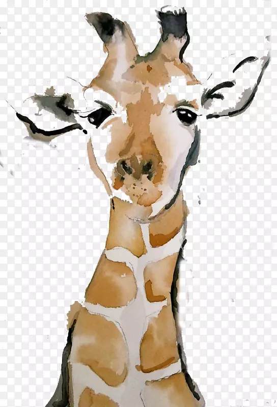 长颈鹿水彩画画长颈鹿画