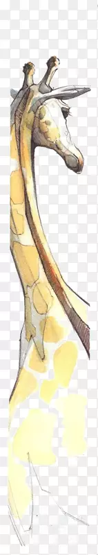 长颈鹿水彩画插图手绘长颈鹿