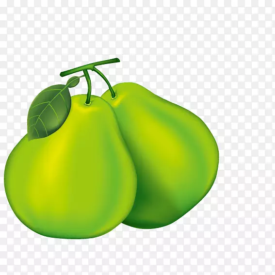 梨柚卡通-绿梨