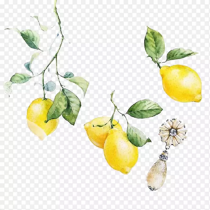 视觉艺术柠檬水彩画插图.无花果水彩画柠檬材料