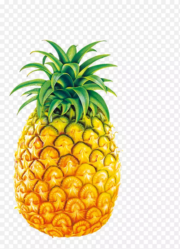 菠萝汁菠萝蛋白酶剪贴画-大菠萝