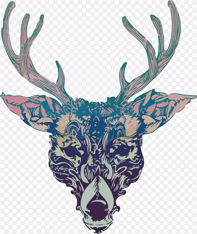鹿鹿角画-麋鹿，鹿