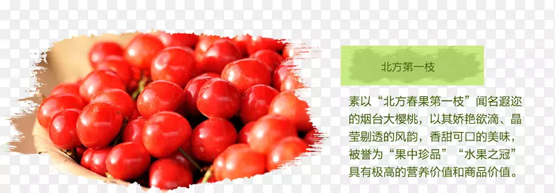 番茄樱桃水果-樱桃
