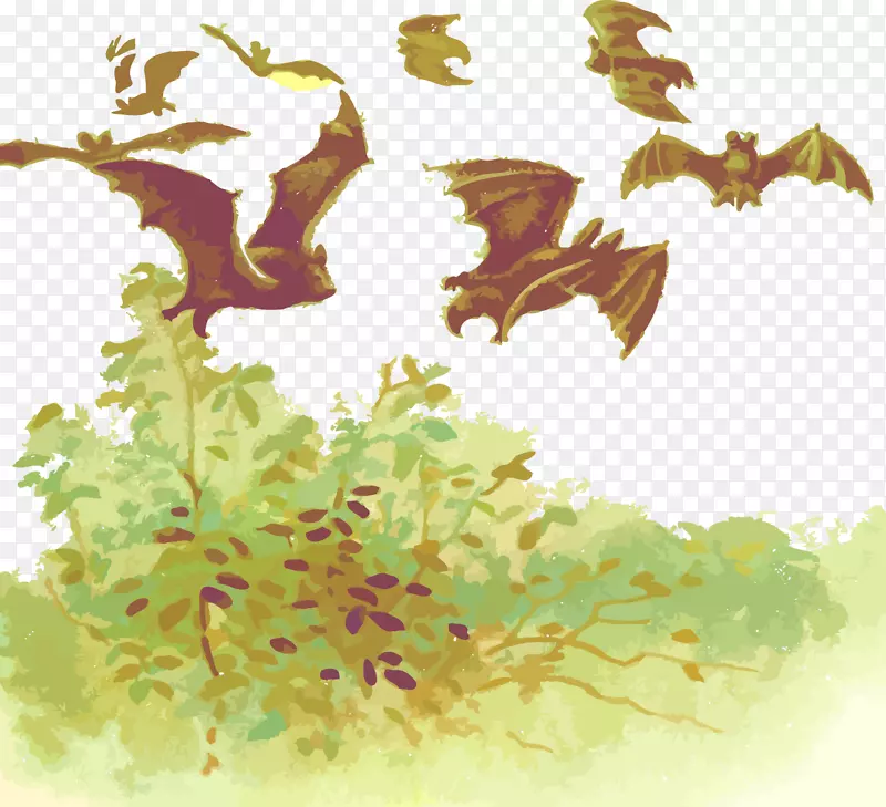 微蝙蝠插图蝙蝠