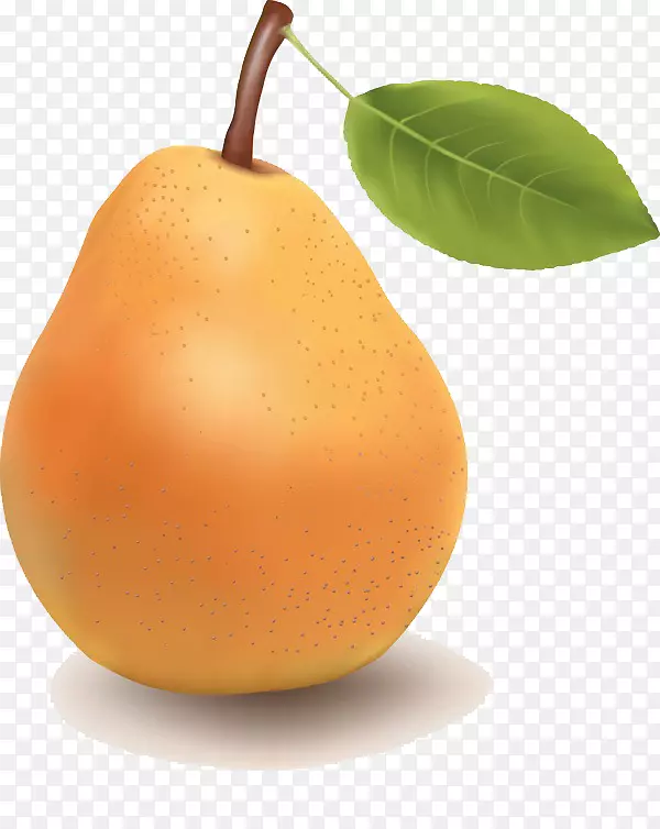 梨橘子