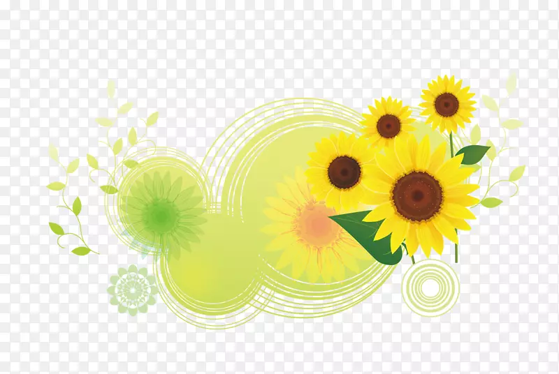 下载普通向日葵插图-卡通圆形半透明底部向日葵