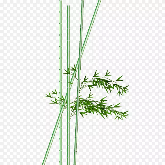竹子水彩画水墨画.竹子水彩画