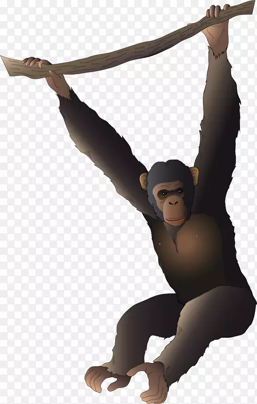 猩猩长臂猿卡通-画的大猩猩