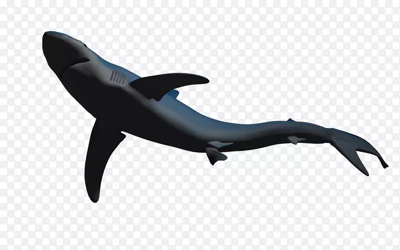 鲨鱼海豚三维计算机图形.海鱼图像海豚
