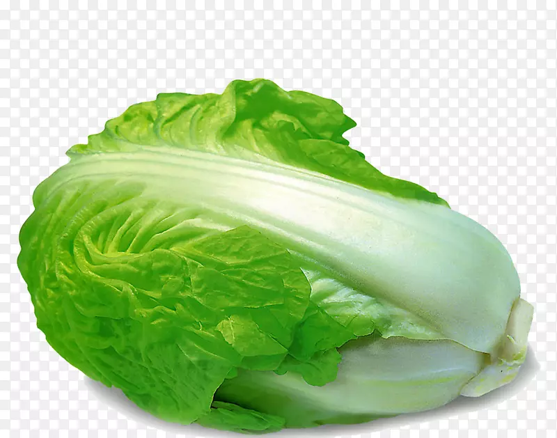 生菜蔬菜大白菜食品-美味卷心菜
