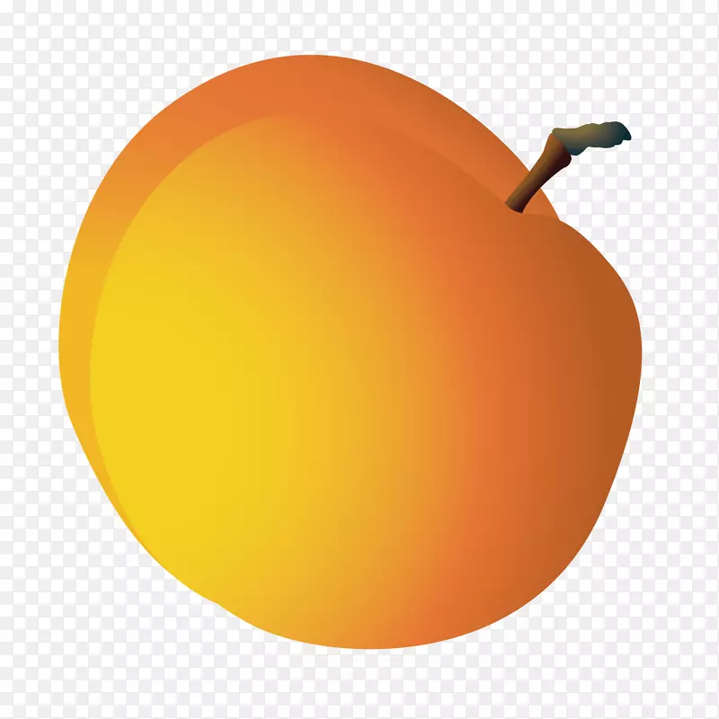橘子柚子卡通柚子