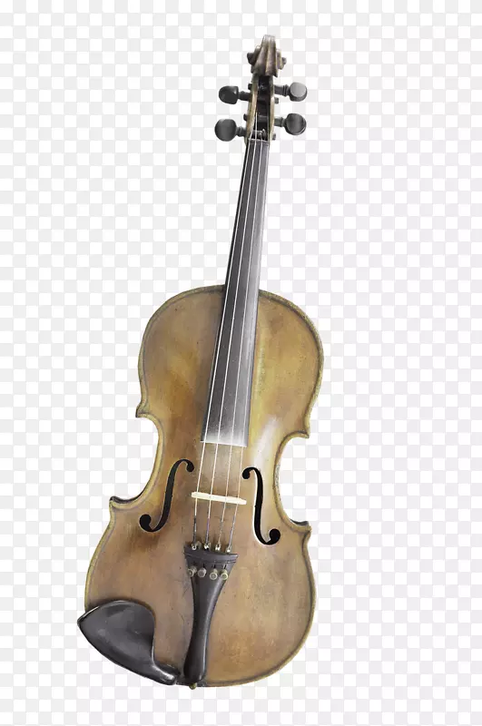 低音小提琴中提琴大提琴小提琴