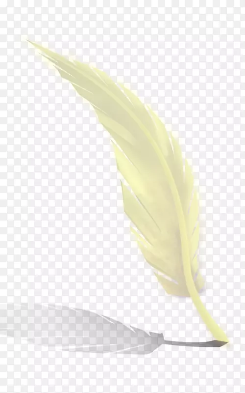 黄色羽毛材料.白色羽毛