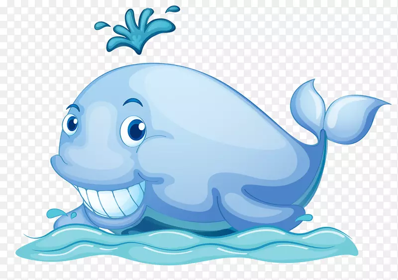 蓝鲸露脊鲸插图-喷雾小鲸鱼