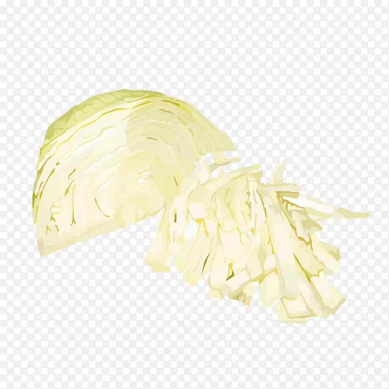 白菜类蔬菜食品-卷心菜丝
