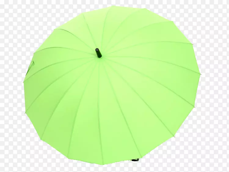 绿伞角-大草绿伞