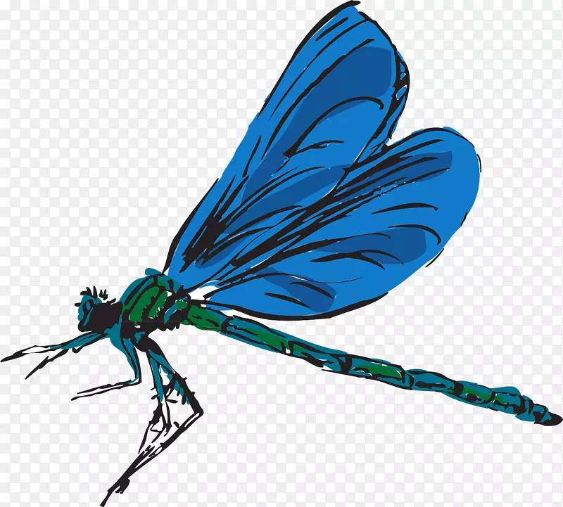 免费内容剪辑艺术-蓝蜻蜓