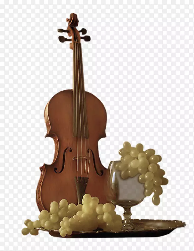 小提琴乐器中提琴大提琴吉他