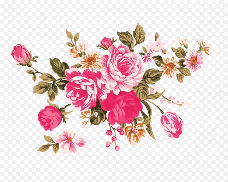 花卉花园玫瑰剪贴画-牡丹