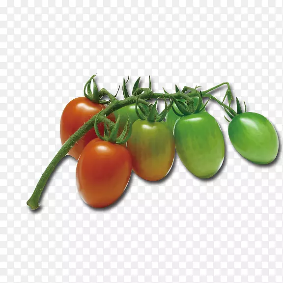 樱桃番茄，蔬菜，水果，樱桃番茄