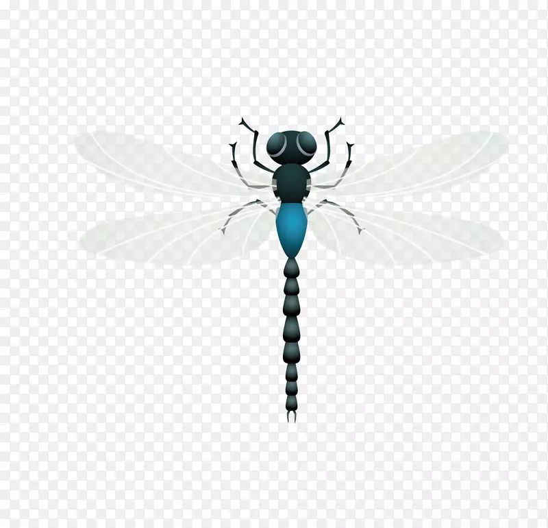 昆虫蜻蜓-可爱的蜻蜓无垫材料