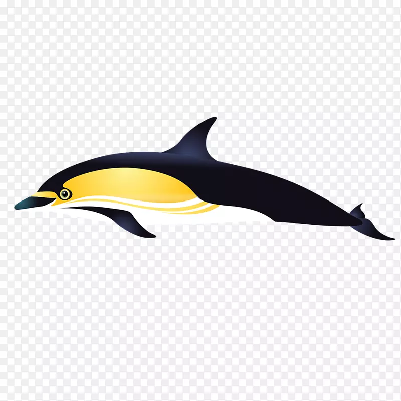 短喙普通海豚图库溪海豚普通宽吻海豚-黑色海豚卡通