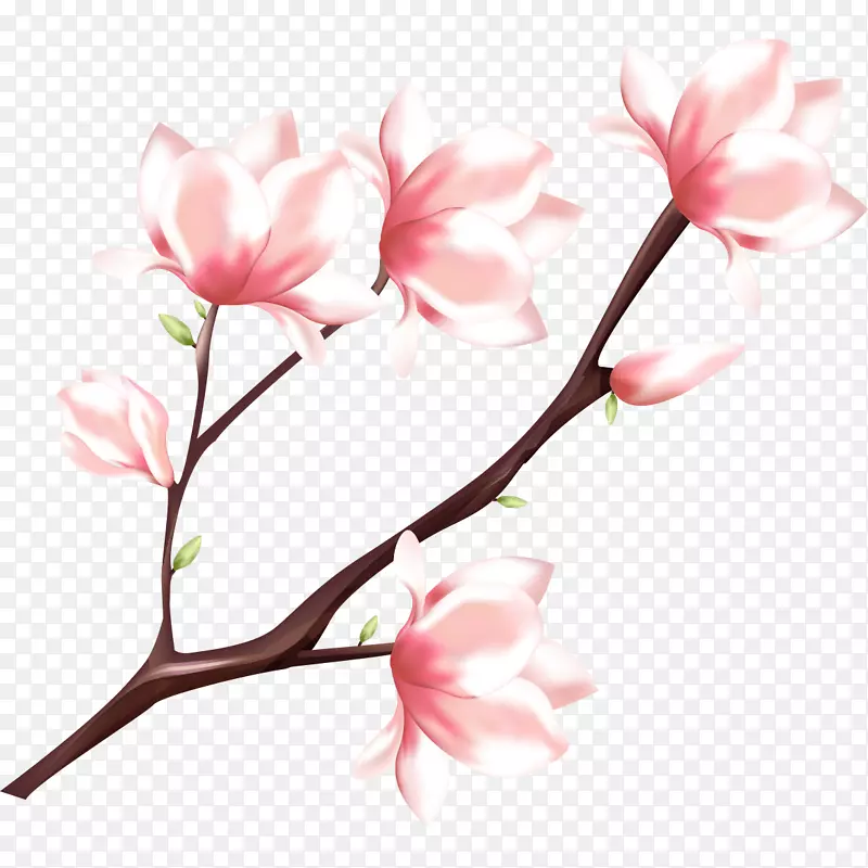 桃花水彩画-桃花