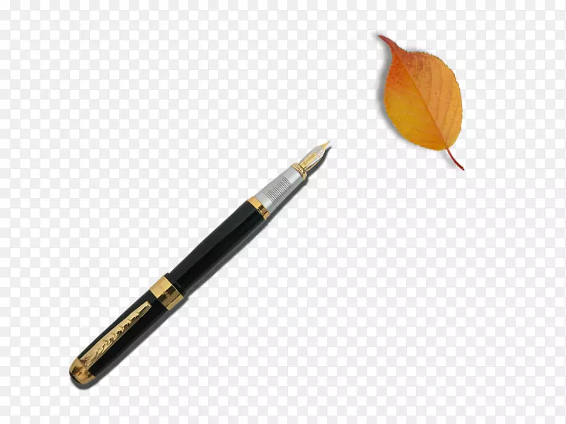 钢笔纸，羽毛笔，叶子