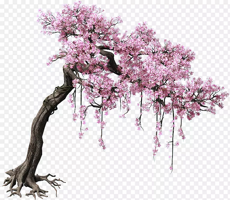 桃树颜色-游戏场景树