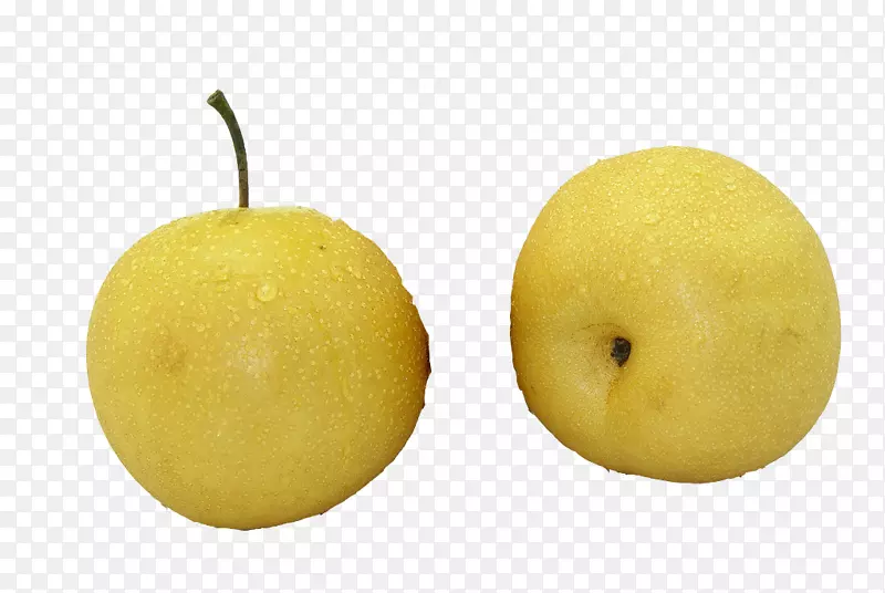 甜柠檬柑桔朱诺亚洲梨-二梨