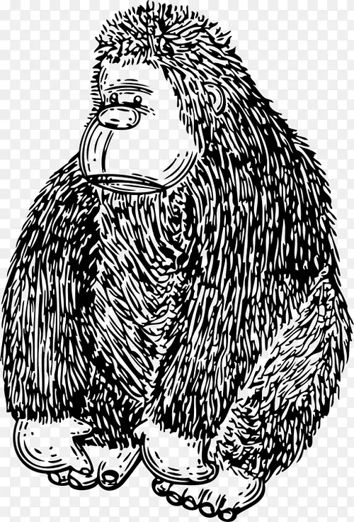 大猩猩免费内容剪贴画-简单黑色大猩猩头部