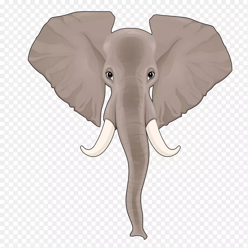 印度象非洲象鼻长鼻状