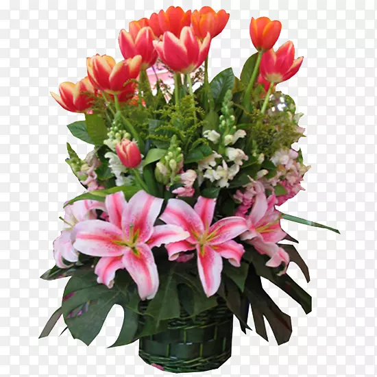 郁金香花粉红色百合郁金香粉红色百合