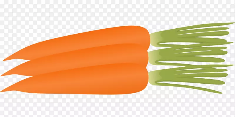 胡萝卜色拉免费内容夹艺术橙色胡萝卜