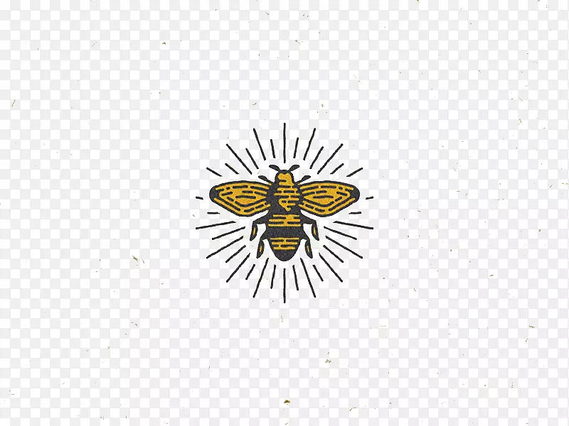蜜蜂-蜜蜂