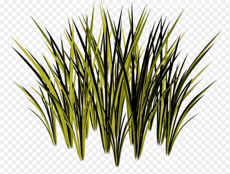 草本植物剪贴画-简单的绿草