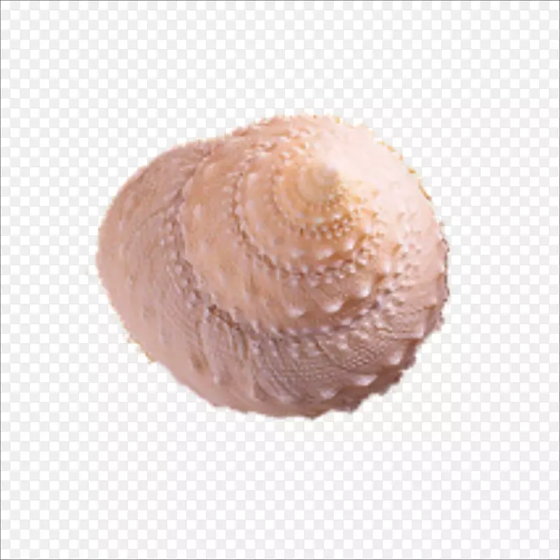 牡蛎蛤海鲜贻贝海螺
