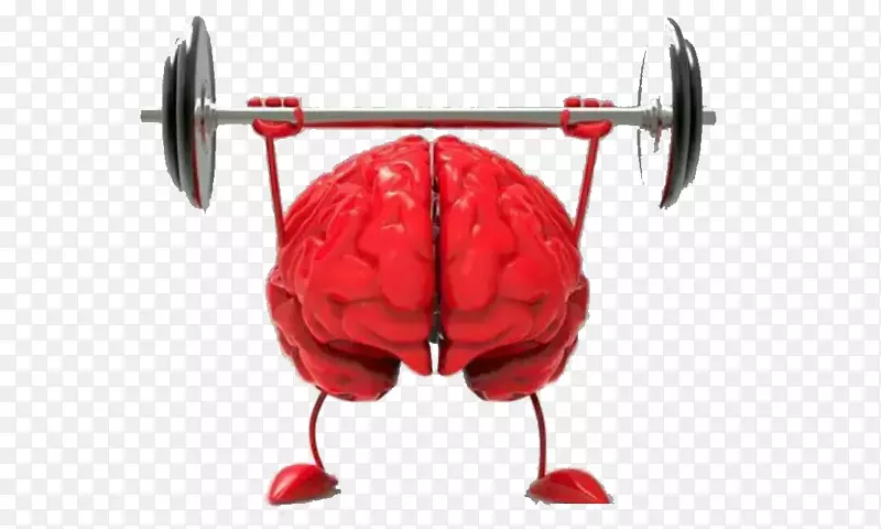 脑大小AGY神经科学认知训练-举重脑