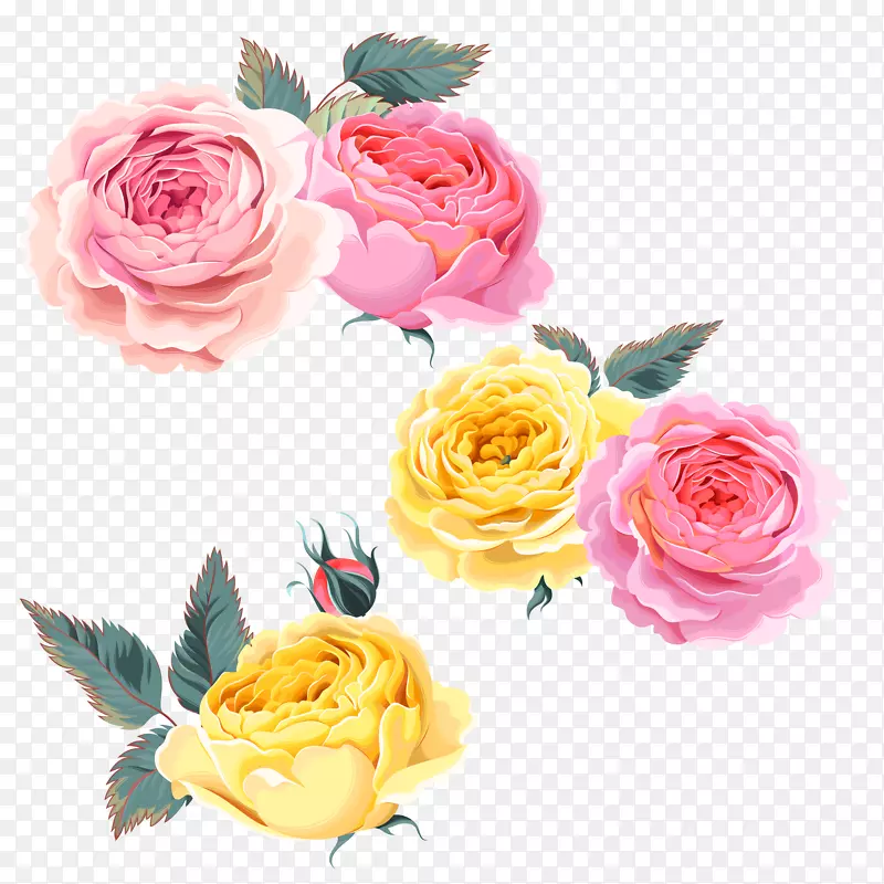 沙滩玫瑰粉红色-玫瑰，粉色玫瑰，黄色玫瑰