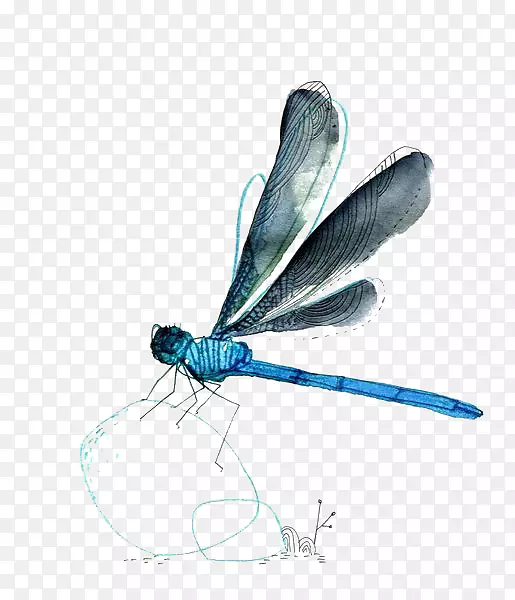 蜻蜓-水彩画蜻蜓