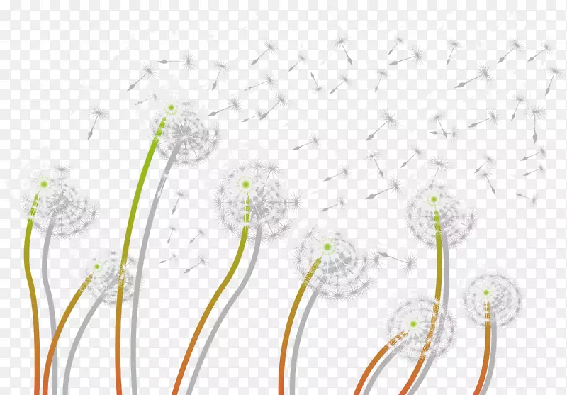 蒲公英植物画框手绘白色植物蒲公英