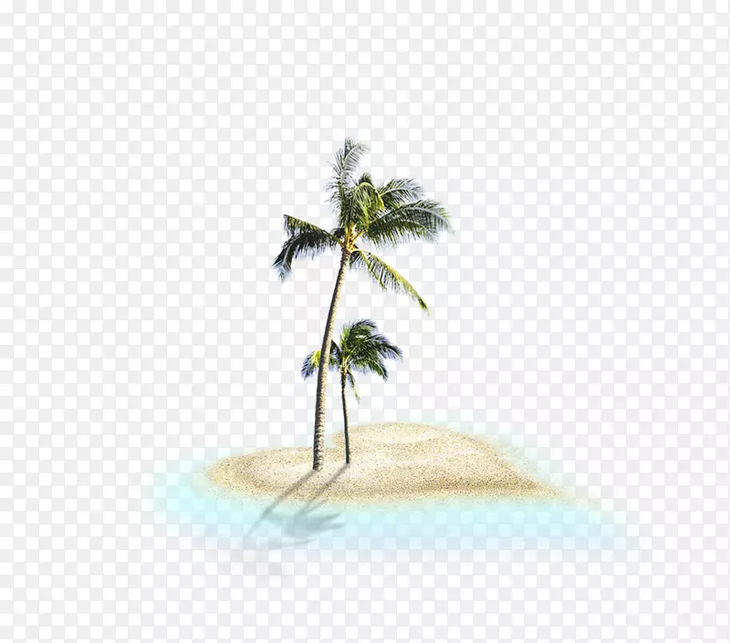 沙滩树剪艺术-沙滩