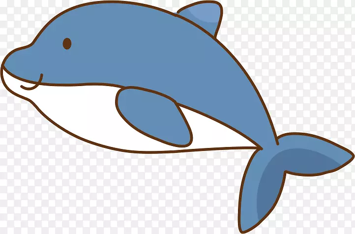 普通宽吻海豚鲸鱼